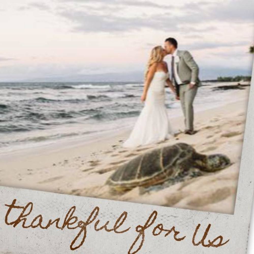 Meet your Posher, Gillian